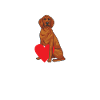 Redbone Coonhound Chien Cadeau