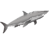 Fiskenes stjernetegn Fiskene