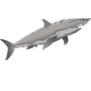 Fische Sternzeichen Fische