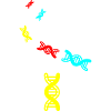 Symbole ADN