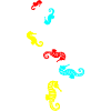 Seahorse animal