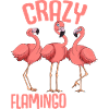 Mesdames Flamingo