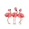 garçon flamant rose