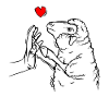 mouton