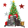 Christmas tree of the Frangins