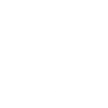 Skull and Flower