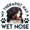 Berner Sennenhund