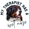 Bernese Mountain Dog