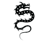 Dragon Snake Zodiac Sign