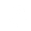 Spider web white