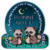 Good Night - Raccoon Couple