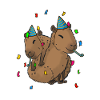 Anniversaire de Capybara