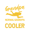 Skydiving Grandpa Parachutist