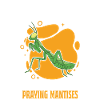 Gottesanbeterin Geschenk Mantis Fangschrecke
