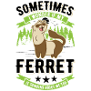 Ferret lover Ferret Gift
