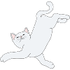 Weiße chiller Katze