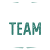Mma Team