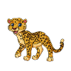 Anatomie d’un jaguar
