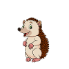 Anatomie d’un hérisson