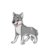 Anatomie d’un loup