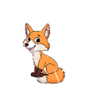 Anatomy of a fox