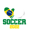 Brasilien fodbold 2022 Brasilien trøje