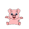 Anatomie d’un cochon