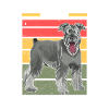 Schnauzer dog breed