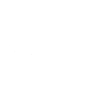 Wolf - Dogs