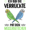 Budgerigar Bird