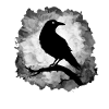 Raven Crow Moonlight Gloomy