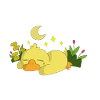 Sleeping duck