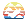 Parachute Parachutist