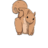 Squirrel Power Eichhörnchen