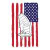 Wing Foiling America