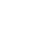 Vienne