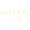 Karate-Evolution. Kampfsport. Geschenkidee.Japan