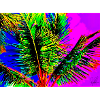 Palm Sea