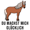Pferdefan Pferde Islandpferde Reiten Statement