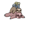 Cute sloths