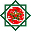 Moroccan Zellige