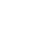 Fuchs Polygon