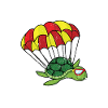 Skydiving Turtle Skydiving