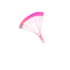 Parachutisme Filles Parachutistes Filles