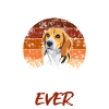 Best Beagle Daddy Ever