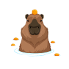 Sjove Capybara appelsiner Gnaver Marsvin Elsker Ordspil