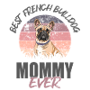 Français Bulldog