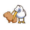 Pelikan forsøger at spise Capybara Funny Cute Kawaii