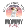Jack Russell Terrier
