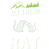 Rat Domestic Rat Owner